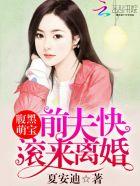 腹黑前夫莫纠缠
