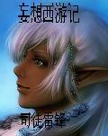 妄想西游好玩吗