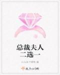 总裁夫人第一部