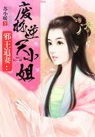 神医毒妃林柒月全部剧集