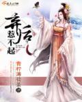 弃后惹不起苏子诩