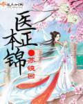 医本正经简介