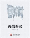 秦汉打仗