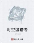 时空猎人盗版