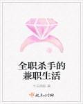 全职杀手讲的什么