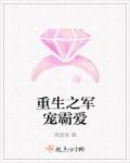 重生之霸爱系列