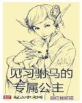 公主的四个驸马