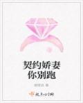 契约娇妻你别跑圣娇