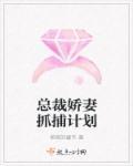 娇妻谋计