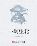 一剑意思