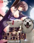 重生过去变成狗7