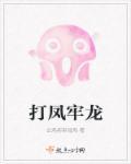 风龙怎么打?
