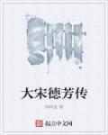 宋朝的赵德芳