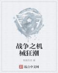 轮回乐园之机械狂潮