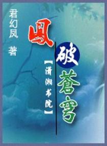 凤小姐 斗破苍穹