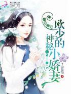 一婚二宝欧少的神秘娇妻全文阅读