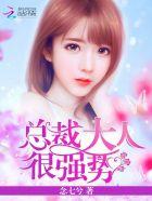 总裁大人很危险
