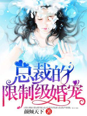 总裁的限定宠爱