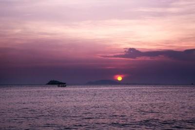 沈阳秋海生