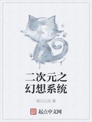 二次元系统类