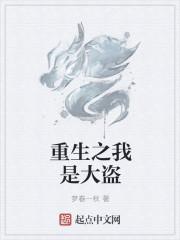 重生之盗贼