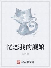 我的舰娘是驱逐舰