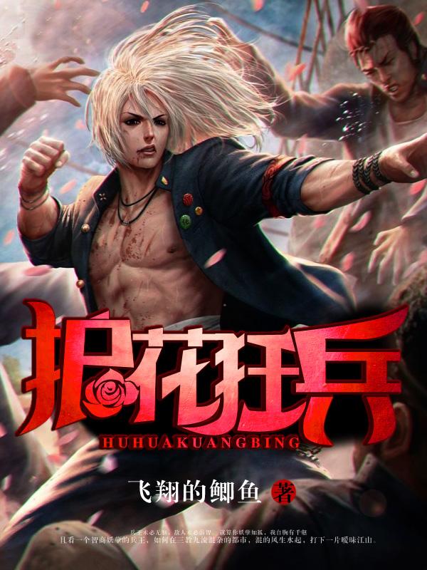 护花狂兵叶苍天女主角有几个