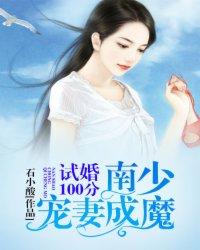 试婚一百天夜少轻轻宠全文免费读