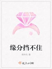 缘分挡不住全集观看