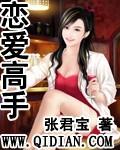 恋爱高手传奇篇
