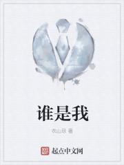 谁是我我是谁时光变成了盗贼原唱是谁