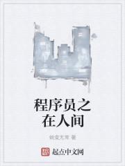 程序员29集