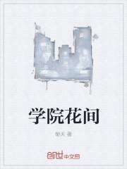 广州华立学院