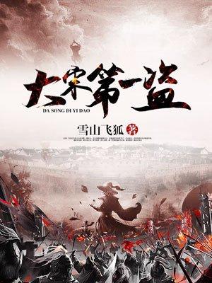 大宋第一盗百度百科