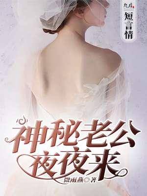 神秘老公夜夜来免费阅读全文