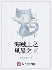 海贼王之无尽风暴免费阅读