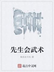 枕石先生会武术吗