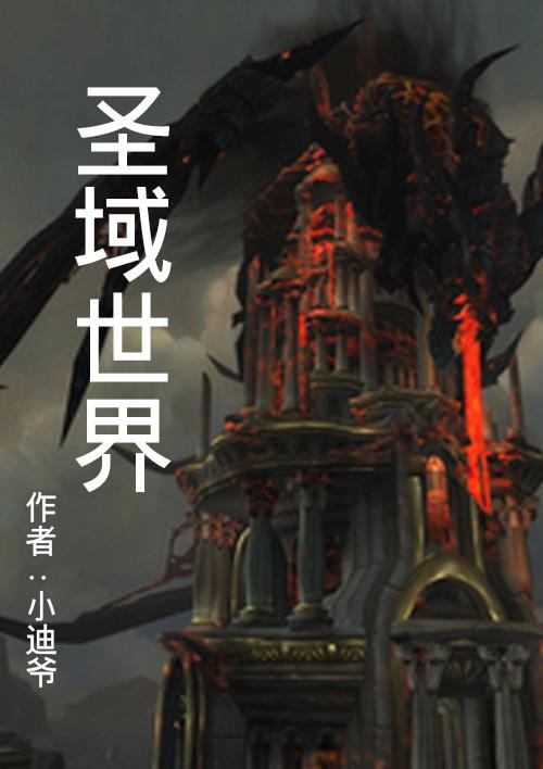 圣域 游戏