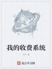 收费系统怎么做