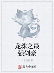 龙珠之大剑豪