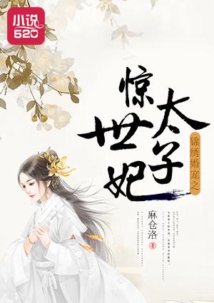 锦绣花嫁太子妃出阁