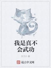 我真的不是武功高手