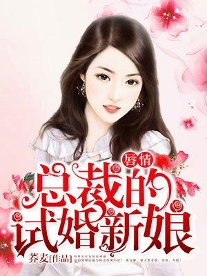 总裁的试婚小新娘