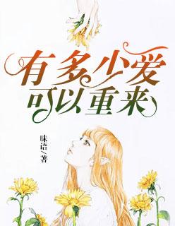 有多少爱可以重来的歌词