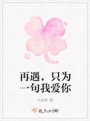 只为再遇见你