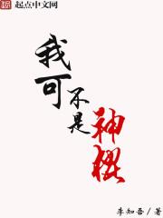 我不是神棍十三