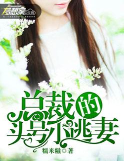 总裁的头号嫩妻免费阅读全文