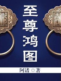 至尊鸿途无错版