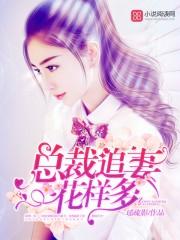 总裁追妻实录