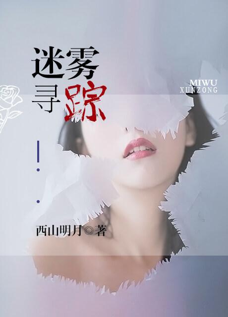 迷雾寻踪近义词是什么